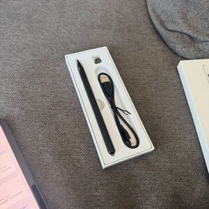 Black Apple Pen with Charging Cable